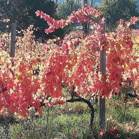 Antico Gioiello Umbro , Appartamento Con Terrazza Foligno Extérieur photo