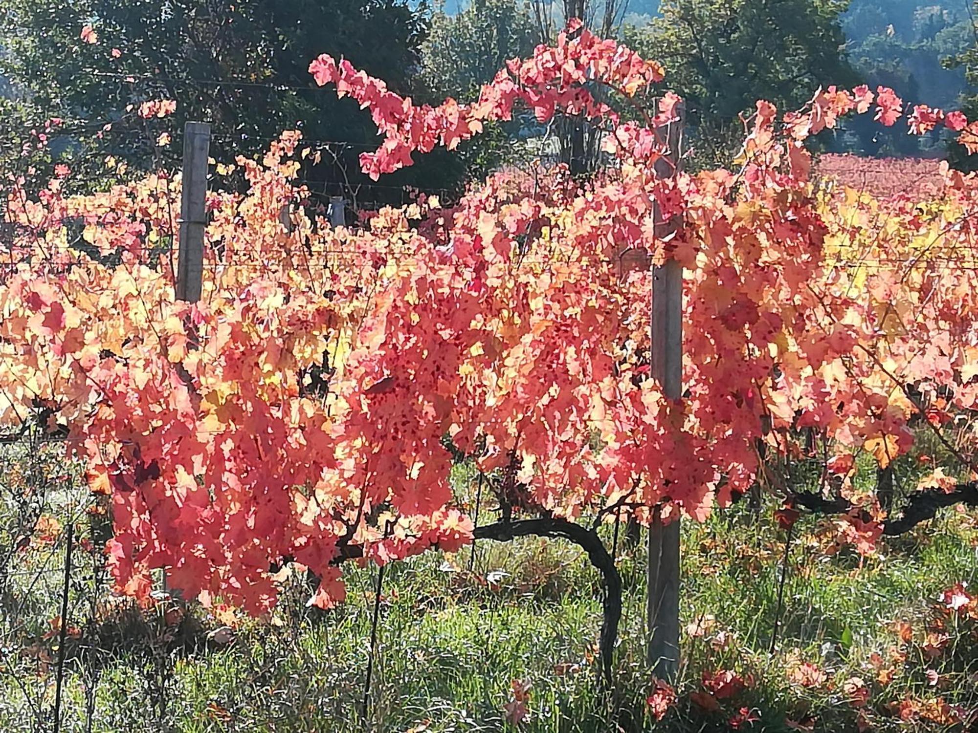 Antico Gioiello Umbro , Appartamento Con Terrazza Foligno Extérieur photo
